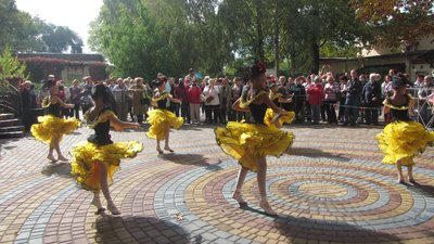 У миколаївському зоопарку відзначили День людей похилого віку У миколаївському зоопарку відзначили День людей похилого віку