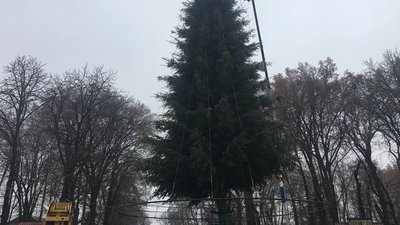 У Вінниці монтують каркас ялинки У Вінниці монтують каркас ялинки