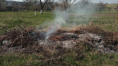 На Ужгородщині розшукували паліїв трави На Ужгородщині розшукували паліїв трави