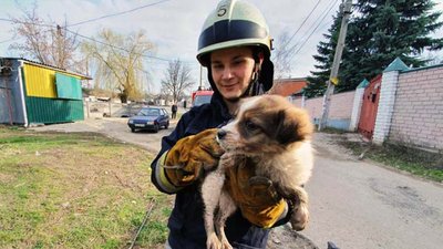 У Дніпрі надзвичайники врятували з каналізаційного колодязя цуценя (ФОТО)
