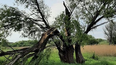 37 населених пунктів без електрики. На Дніпропетровщині ліквідовують наслідки негоди