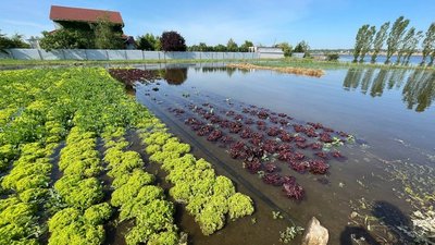 Випробування водою. Як минув тиждень для миколаївців та херсонців після підриву Каховської ГЕС. Фото