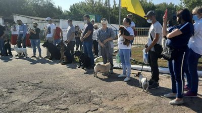Чекають 300 учасників. У Кропивницькому влаштують виставку собак усіх порід Чекають 300 учасників. У Кропивницькому влаштують виставку собак усіх порід