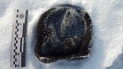 На Одещині затримали двох підозрюваних у викраденні людини На Одещині затримали двох підозрюваних у викраденні людини