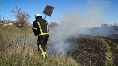 На Черкащині за добу згоріло понад сім гектарів сухої трави та сміття