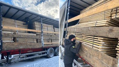 Закарпатець хотів вивезти до Румунії деревини на майже 300 тисяч гривень
