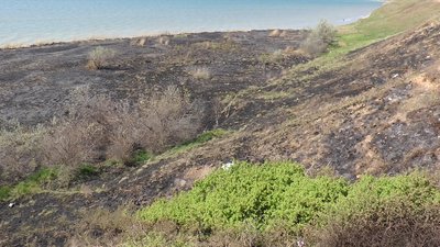 У селі Лупареве, що на Миколаївщині, понад чотири гектари очерету і трави охопила пожежа