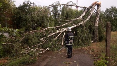 Наслідки буревію на Кіровоградщині: знеструмлені 24 населені пункти, зірвані дахи та повалені дерева
