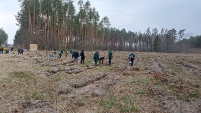 На Житомирщині прикордонники та школярі садили ліс На Житомирщині прикордонники та школярі садили ліс