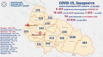 COVID-19 на Закарпатті: 3 людей одужало та 3 померло COVID-19 на Закарпатті: 3 людей одужало та 3 померло