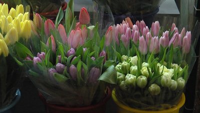 Ціни, квіти, скільки коштують, букет, День закоханих Ціни, квіти, скільки коштують, букет, День закоханих