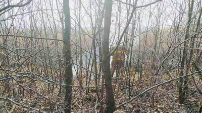 На Львівщині від початку року виникло близько 200 пожеж у екосистемах. Чим це загрожує На Львівщині від початку року виникло близько 200 пожеж у екосистемах. Чим це загрожує