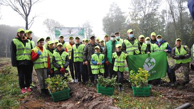 177 тисяч дерев упродовж доби запланували висадити на Львівщині