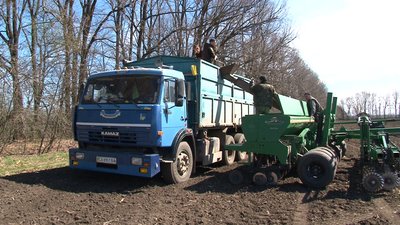 Збільшився попит: на Черкащині фермер сіє горох Збільшився попит: на Черкащині фермер сіє горох