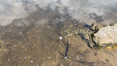 Вода в Удаї Вода в Удаї
