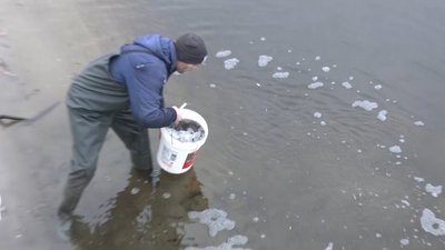 У Запоріжжі рятують рибу з крижаної пастки У Запоріжжі рятують рибу з крижаної пастки