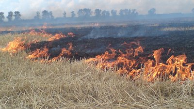 Через обстріли в Баштанському районі, що на Миколаївщині, загорілася суха трава