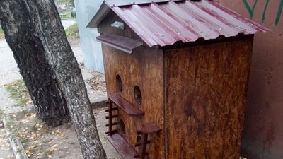 На Рівненщині зооволонтери облаштовують котячі будиночки На Рівненщині зооволонтери облаштовують котячі будиночки