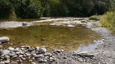 Дністер, посуха, Івано-Франківщина, вода, річки, ріки, історичний мінімум, Луква