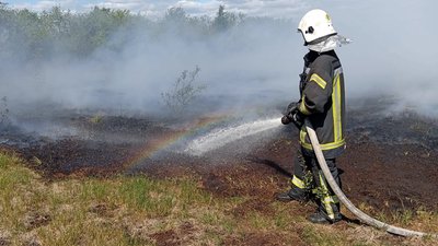 Рятувальники гасять пожежу на торфовищі, травень 2026 року