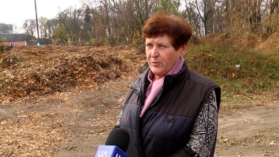 У Житомирі "Зеленбуд" щорічно збирає з парків і скверів понад 50 тонн опалого листя У Житомирі "Зеленбуд" щорічно збирає з парків і скверів понад 50 тонн опалого листя
