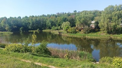 Ландшафтний заказник "Совська балка"