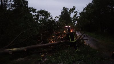 Через пориви вітру на Житомирщині без електрики лишилися 26 населених пунктів Через пориви вітру на Житомирщині без електрики лишилися 26 населених пунктів