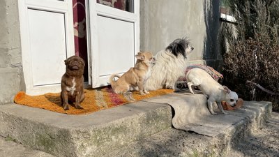 фотодобірка року фотодобірка року
