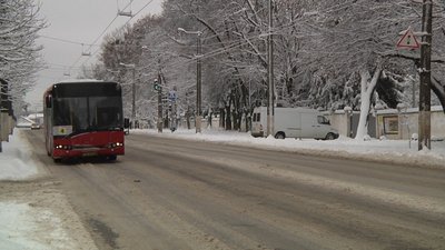 Наслідки негоди: на Житомирщині через снігопад побільшало ДТП, рух вантажівок обмежували Наслідки негоди: на Житомирщині через снігопад побільшало ДТП, рух вантажівок обмежували
