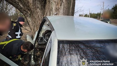 На Полтавщині 63-річний водій автомобіля в’їхав в дерево
