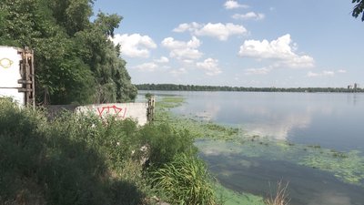 «Втрати для кожного водосховища – це десятки й навіть сотні тонн». Чому в Дніпрі масово гине риба «Втрати для кожного водосховища – це десятки й навіть сотні тонн». Чому в Дніпрі масово гине риба