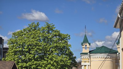 Вінниця