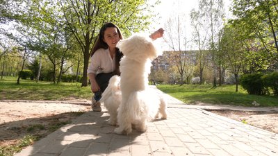 "Є нюанс, у нас чотири пси": журналістка Суспільного прихистила у Рівному знайомих з Києва та Маріуполя "Є нюанс, у нас чотири пси": журналістка Суспільного прихистила у Рівному знайомих з Києва та Маріуполя
