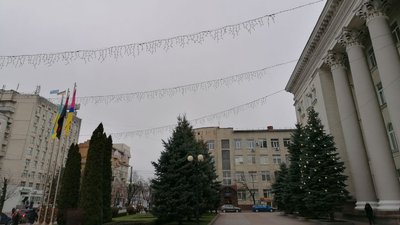 У Кропивницькому біля міськради прикрашають живі ялини