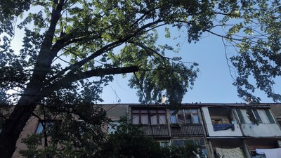 В Ужгороді біля будинків обвалилася гілка дерева. Коли там востаннє проводили огляд В Ужгороді біля будинків обвалилася гілка дерева. Коли там востаннє проводили огляд