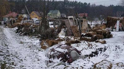 Волинянина оштрафують через захаращене подвір'я Волинянина оштрафують через захаращене подвір'я