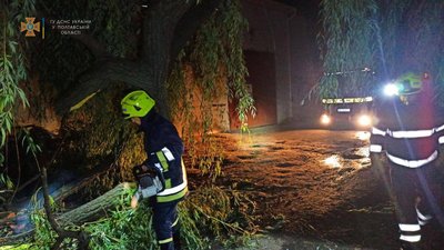 Сильний вітер: на Полтавщині прибирали повалені дерева Сильний вітер: на Полтавщині прибирали повалені дерева