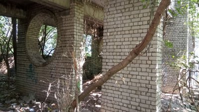 Дерева, кущі і сміття. Вікон і дверей немає Дерева, кущі і сміття. Вікон і дверей немає