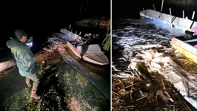 У Печенізьке водосховище на Харківщині заселили понад 7 тисяч рибин, 21 травня 2026 року