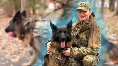 "Любить масаж": у кропивницькому підрозділі Нацгвардії служить вівчарка Герда
