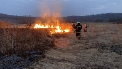 У Долині нарцисів на Закарпатті сталася пожежа У Долині нарцисів на Закарпатті сталася пожежа
