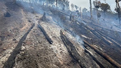 Лісову пожежу поблизу села Сасівка на Закарпатті повністю ліквідували