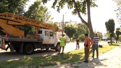 У Житомирі комунальники з ночі почали прибирати місто від повалених вітром дерев