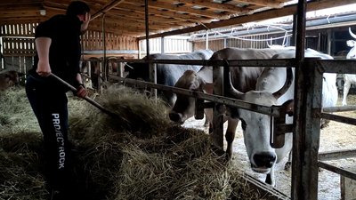 Розвозив молоко по бомбосховищах у перервах між боями: історія фермера-тероборонівця з Чернігівщини Розвозив молоко по бомбосховищах у перервах між боями: історія фермера-тероборонівця з Чернігівщини