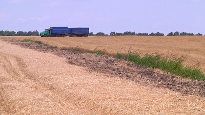 На Житомирщині двічі горіли зернові посіви На Житомирщині двічі горіли зернові посіви