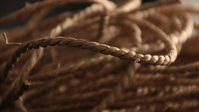 На Запоріжжі матір задушила та сховала тіло 33-річного сина