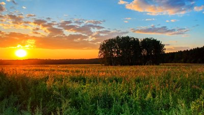 Від +28°C до +35°C: синоптики розповіли про погоду на Хмельниччині