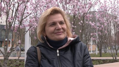 "Чарівна квіточка, яка додає позитиву". Через аномально теплий квітень у скверах Дніпра вже розквітли магнолії "Чарівна квіточка, яка додає позитиву". Через аномально теплий квітень у скверах Дніпра вже розквітли магнолії