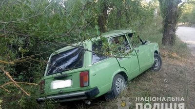 На Херсонщині нетверезий водій в'їхав у дерево, його шпиталізували На Херсонщині нетверезий водій в'їхав у дерево, його шпиталізували