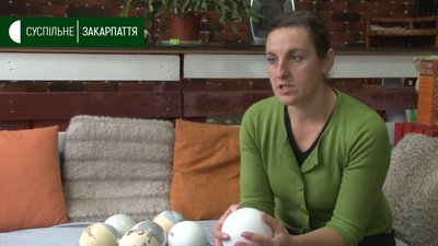 Іграшки для акції "Закарпаття запрошує на Різдво" робить майстриня з Іршавщини Тетяна Маланка Іграшки для акції "Закарпаття запрошує на Різдво" робить майстриня з Іршавщини Тетяна Маланка